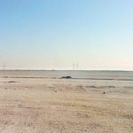 “العربية-لاستصلاح-الأراضي”-تنفي-شراكتها-مع-صندوق-إماراتي-للزراعة-في-توشكى