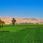 مد-إيقاف-العمل-بقانون-ضريبة-الأطيان-الزراعية