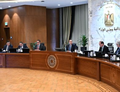 رئيس-الوزراء-يتابع-موقف-توافر-مخزون-الأدوية-والمستحضرات-الطبية-وسداد-مستحقات-الشركات
